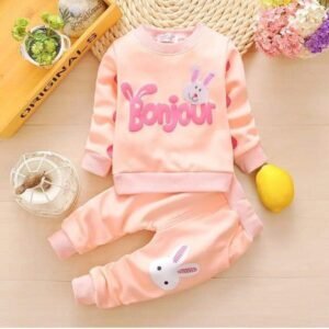 Premium Quality Ekta Full sleeve shirt Ekta Pant (WCB-100)