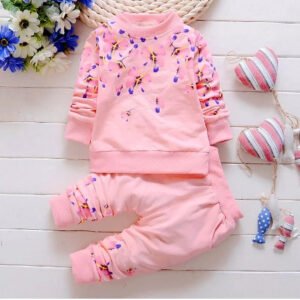 Premium Quality Ekta Full sleeve shirt Ekta Pant (WCB-104)