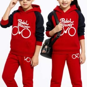 Premium Quality Ekta Hoodie Ekta Pant (WB-303)