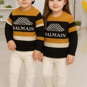 Premium Quality Ekta Sweater Ekta Pant (wcb-001)