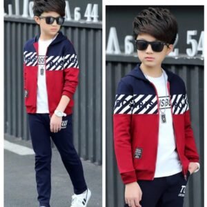 Premium Quality Ekta Hoodie Ekta Pant (WB-405)