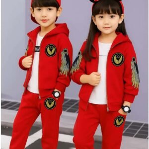 Premium Quality Ekta Hoodie Ekta Pant (WB-500)